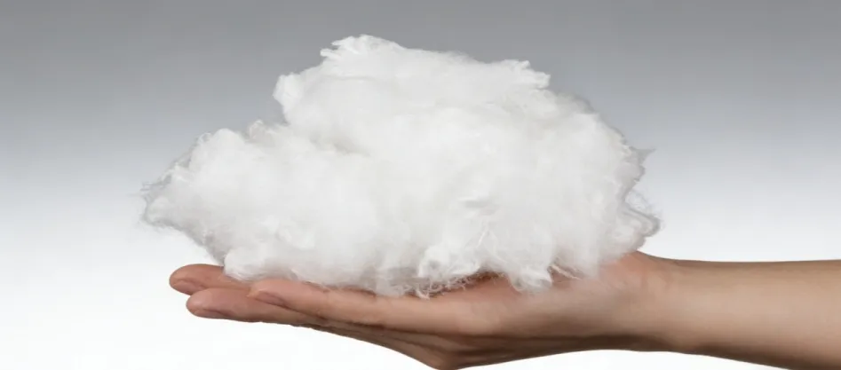 Virgin Fiber vs. recycelte Faser – Welche sollten Sie wählen?