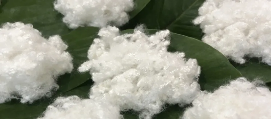 Ist Polyester eine synthetische Faser? Etwas, das du wissen musst